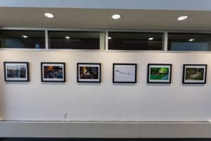 An image of the hallway on the second floor of Allen Hall showing pictures hung on the wall.